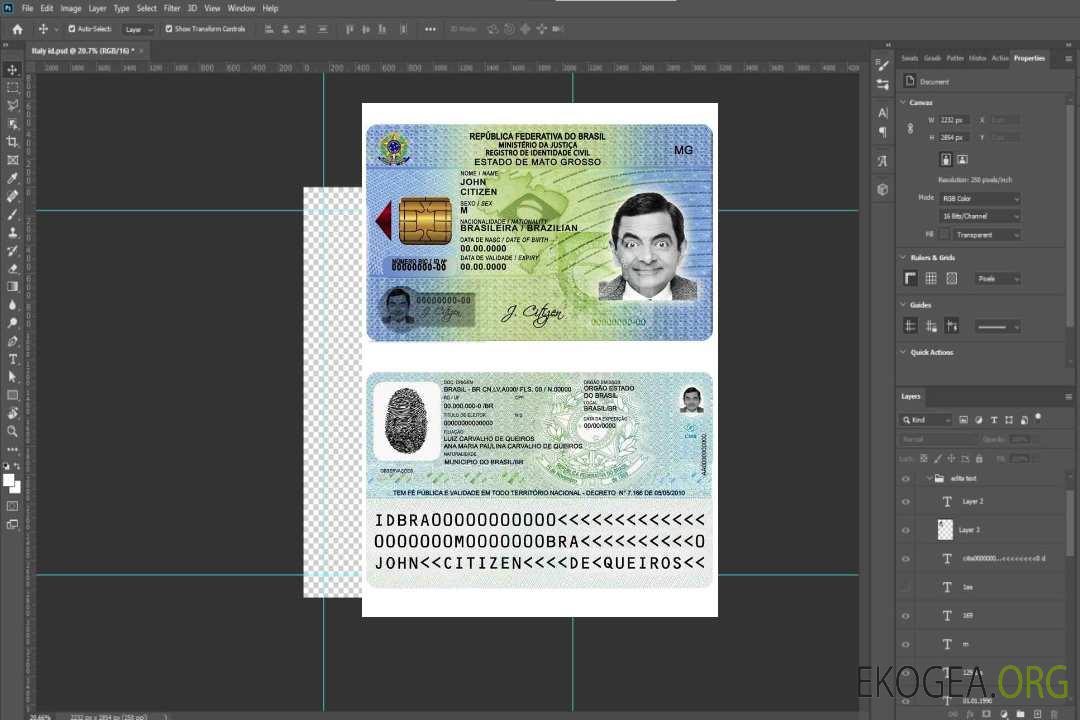 Modèle d'identification du Brésil au format PSD (à partir de 2009) (2) template
